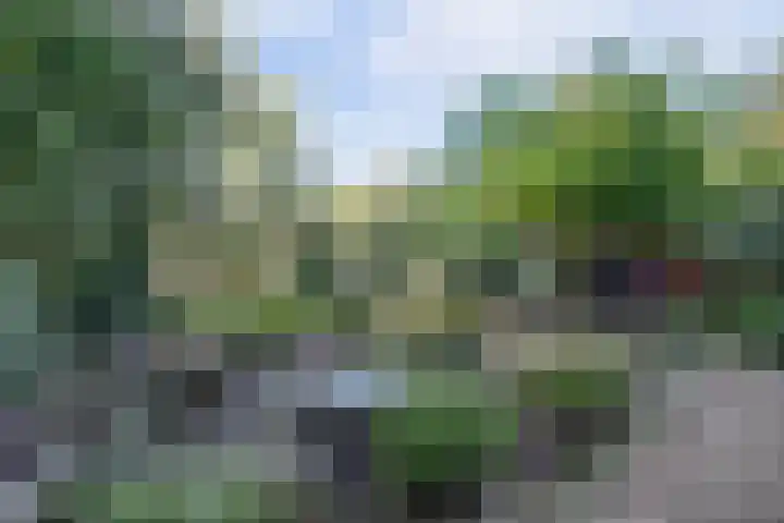 Maasdijk 8 Rossum thumbnail 9