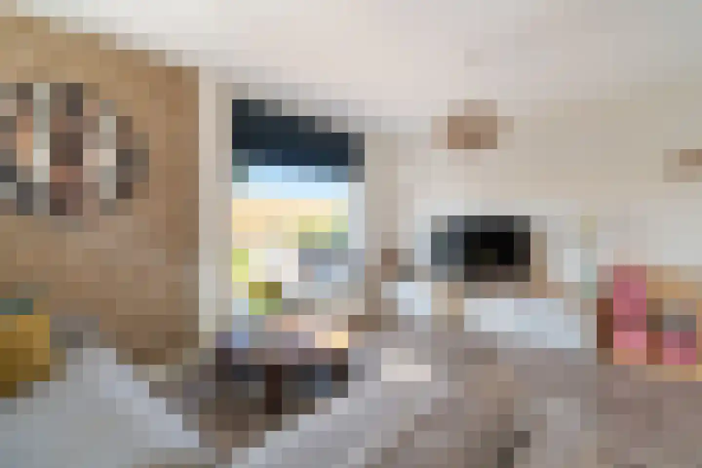 Maasdijk 85 's-Gravenzande thumbnail 6
