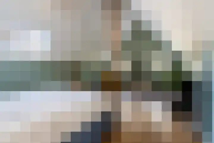 Maasdijk 86 Nederhemert thumbnail 47