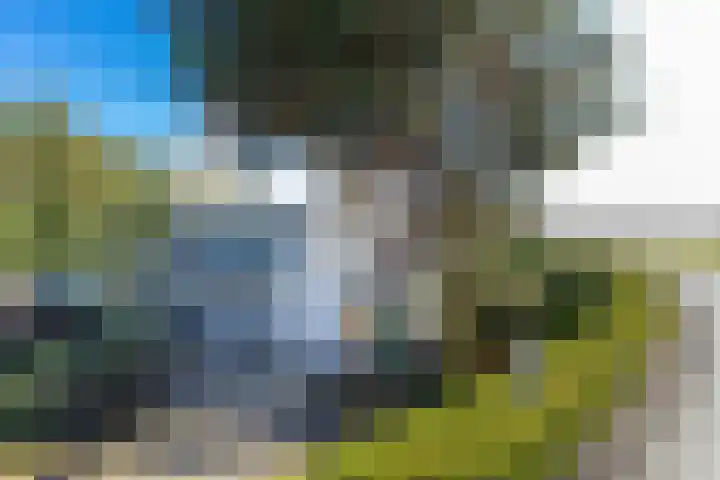 Maasdijk 86 Nederhemert thumbnail 51