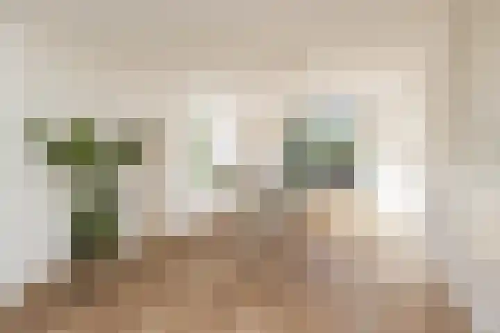 Maasdijk 86 Nederhemert thumbnail 7