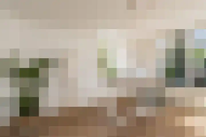 Maasdijk 86 Nederhemert thumbnail 8
