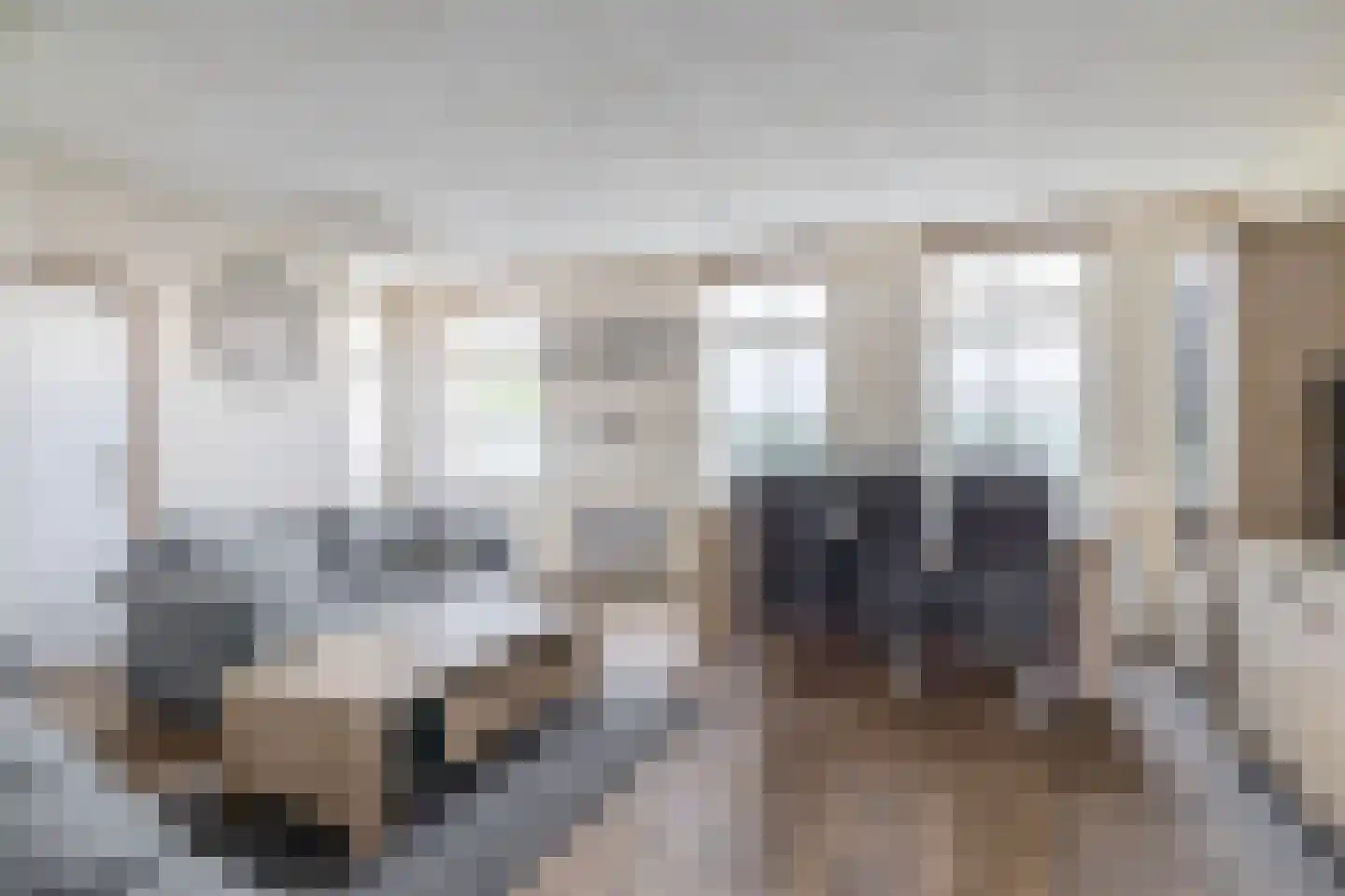 Maasdijk 96 Maasdijk thumbnail 10