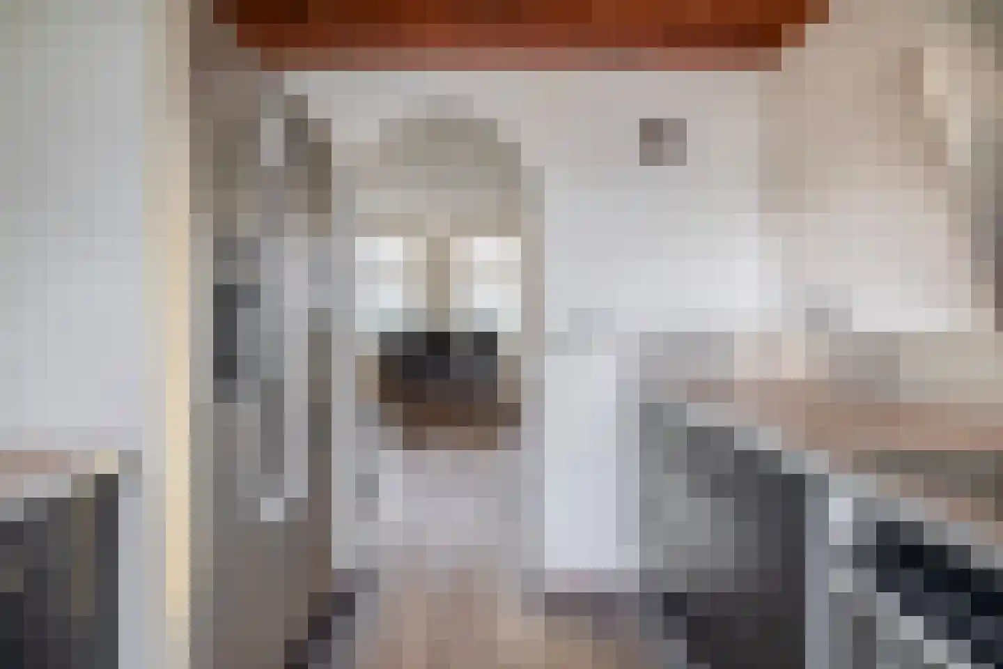 Maasdijk 96 Maasdijk thumbnail 12
