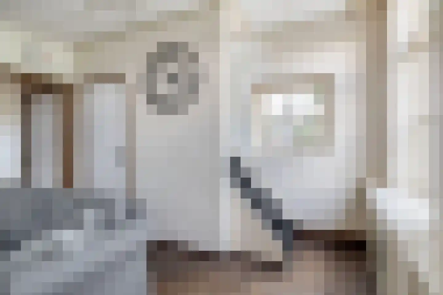Maasdijk 96 Maasdijk thumbnail 17