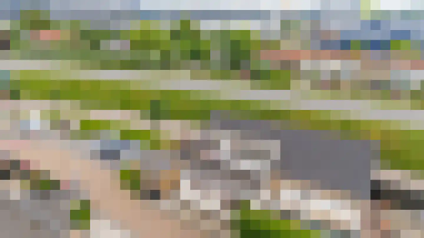 Maasdijk 96 Maasdijk thumbnail 24