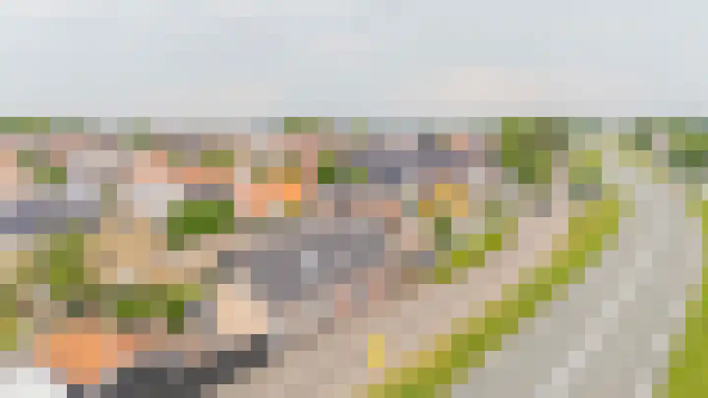 Maasdijk 96 Maasdijk thumbnail 26