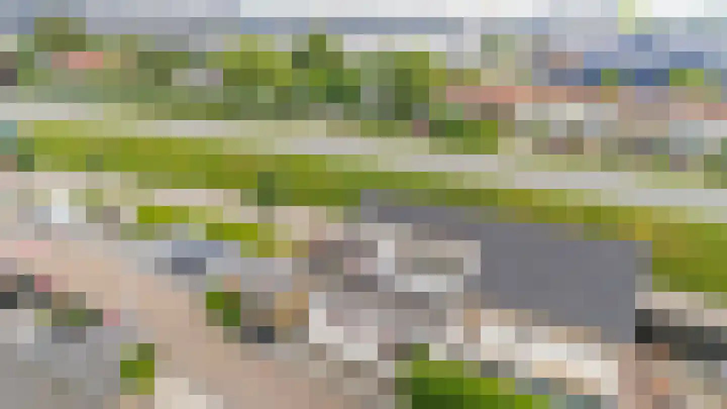 Maasdijk 96 Maasdijk thumbnail 29