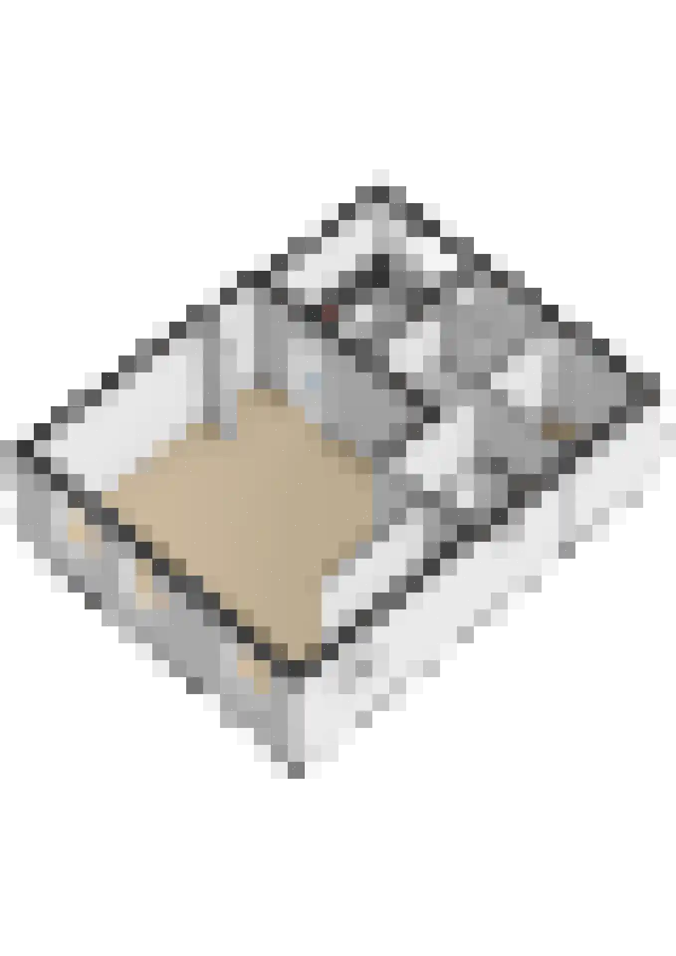 Maasdijk 96 Maasdijk thumbnail 32