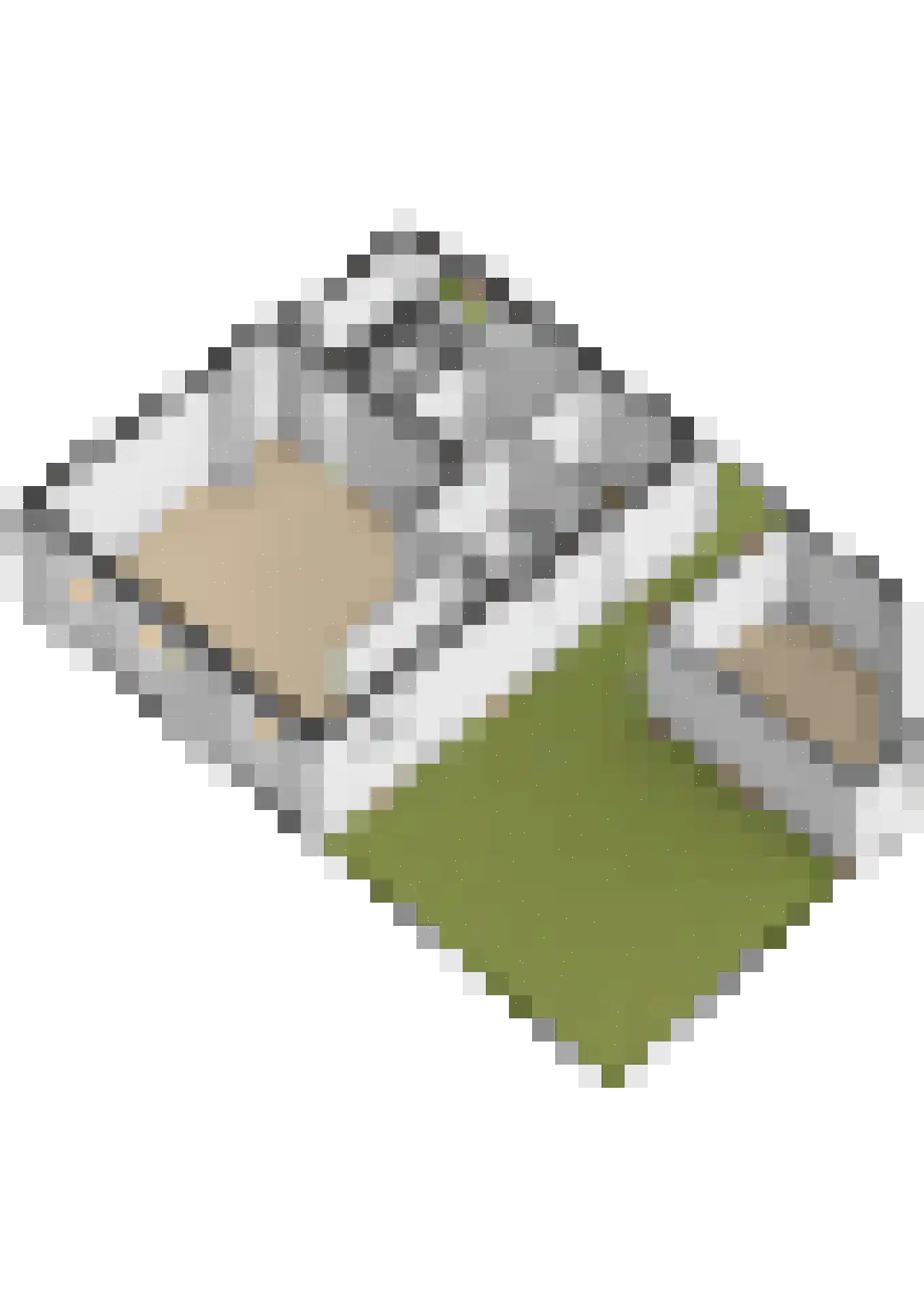 Maasdijk 96 Maasdijk thumbnail 38