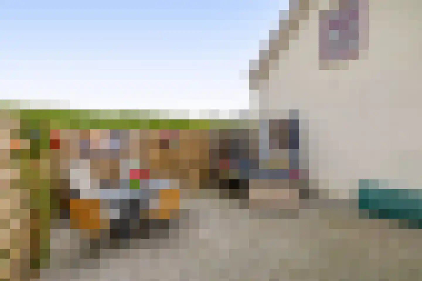 Maasdijk 96 Maasdijk thumbnail 5