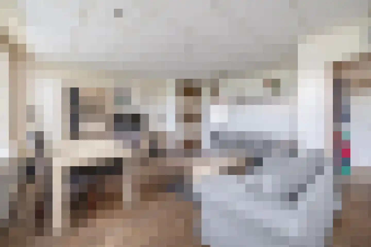 Maasdijk 96 Maasdijk thumbnail 9