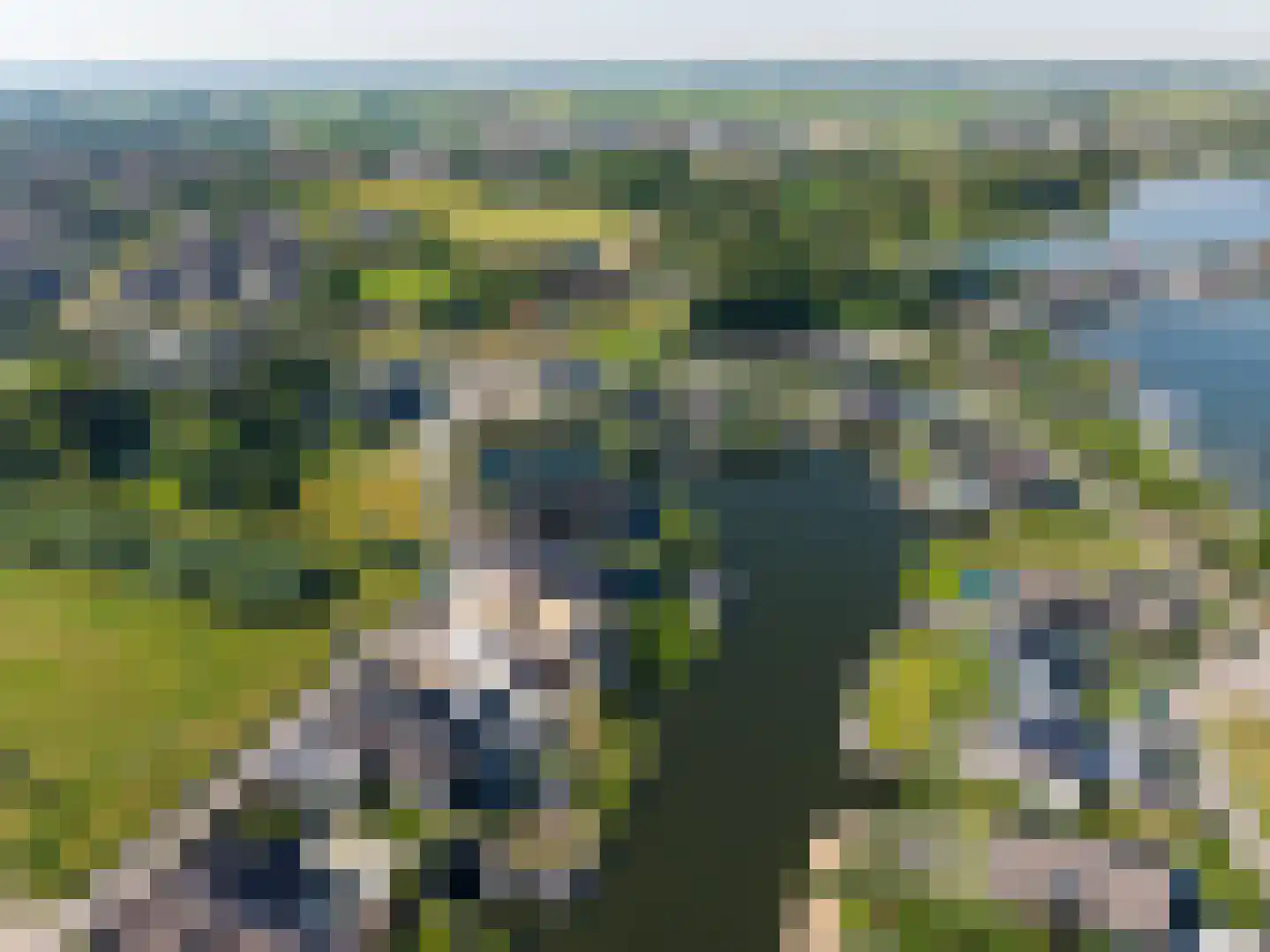 Maasdijk Veen thumbnail 10