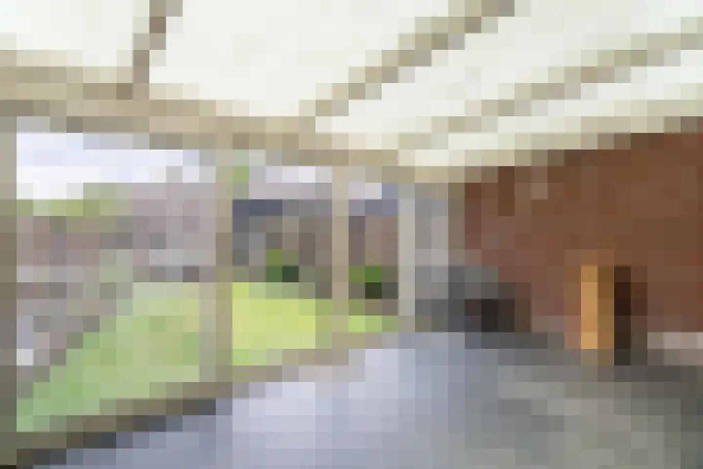 Maaseikerweg 109 Weert thumbnail 19