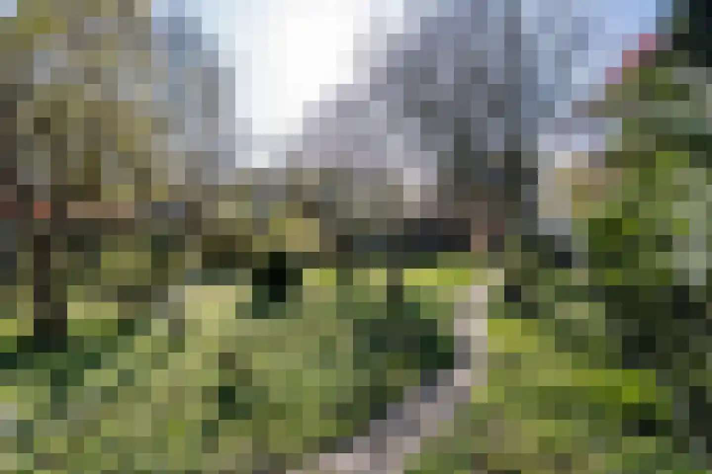 Maaseikerweg 127 Weert thumbnail 57