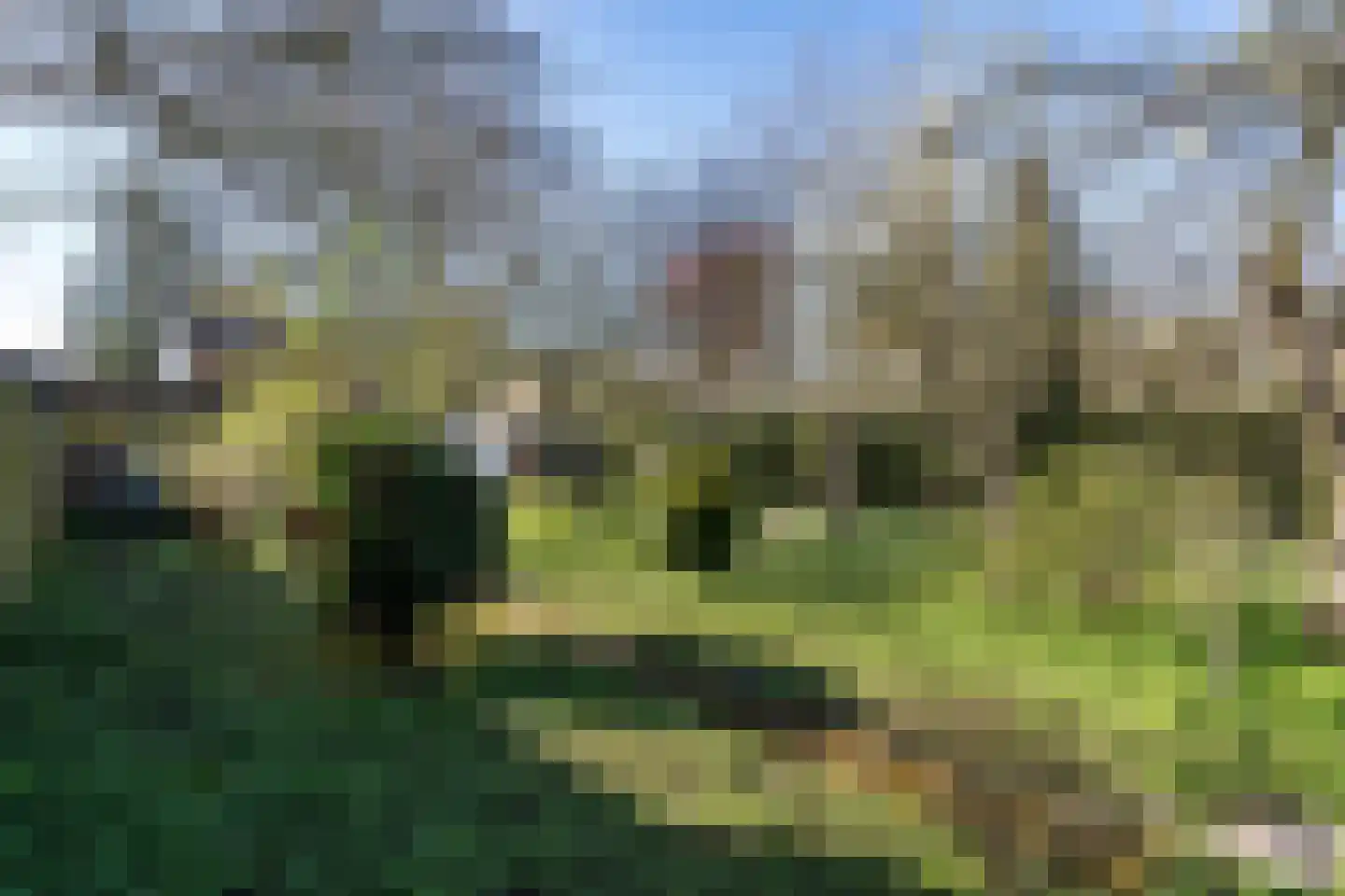 Maaseikerweg 127 Weert thumbnail 60