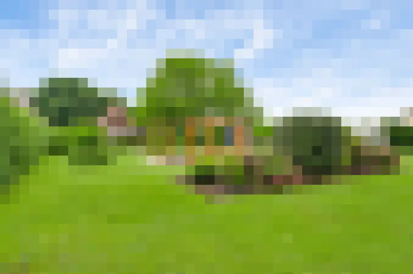 Maaseikerweg 161 Weert thumbnail 36