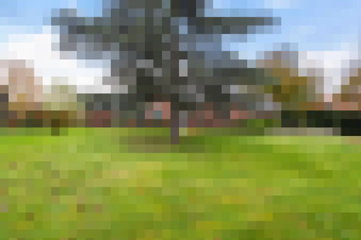 Maaseikerweg 202 Weert thumbnail 10