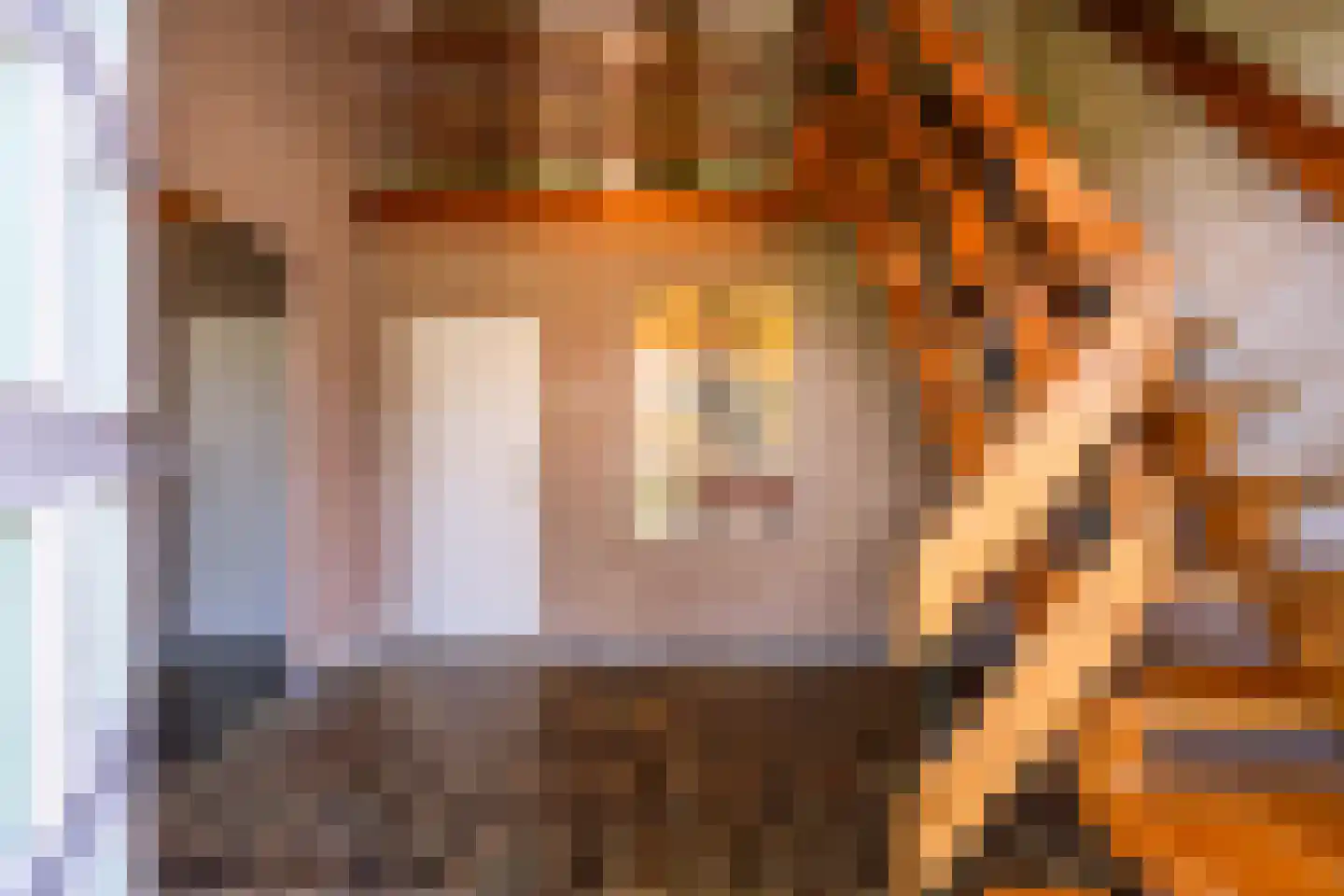 Maaseikerweg 202 Weert thumbnail 13