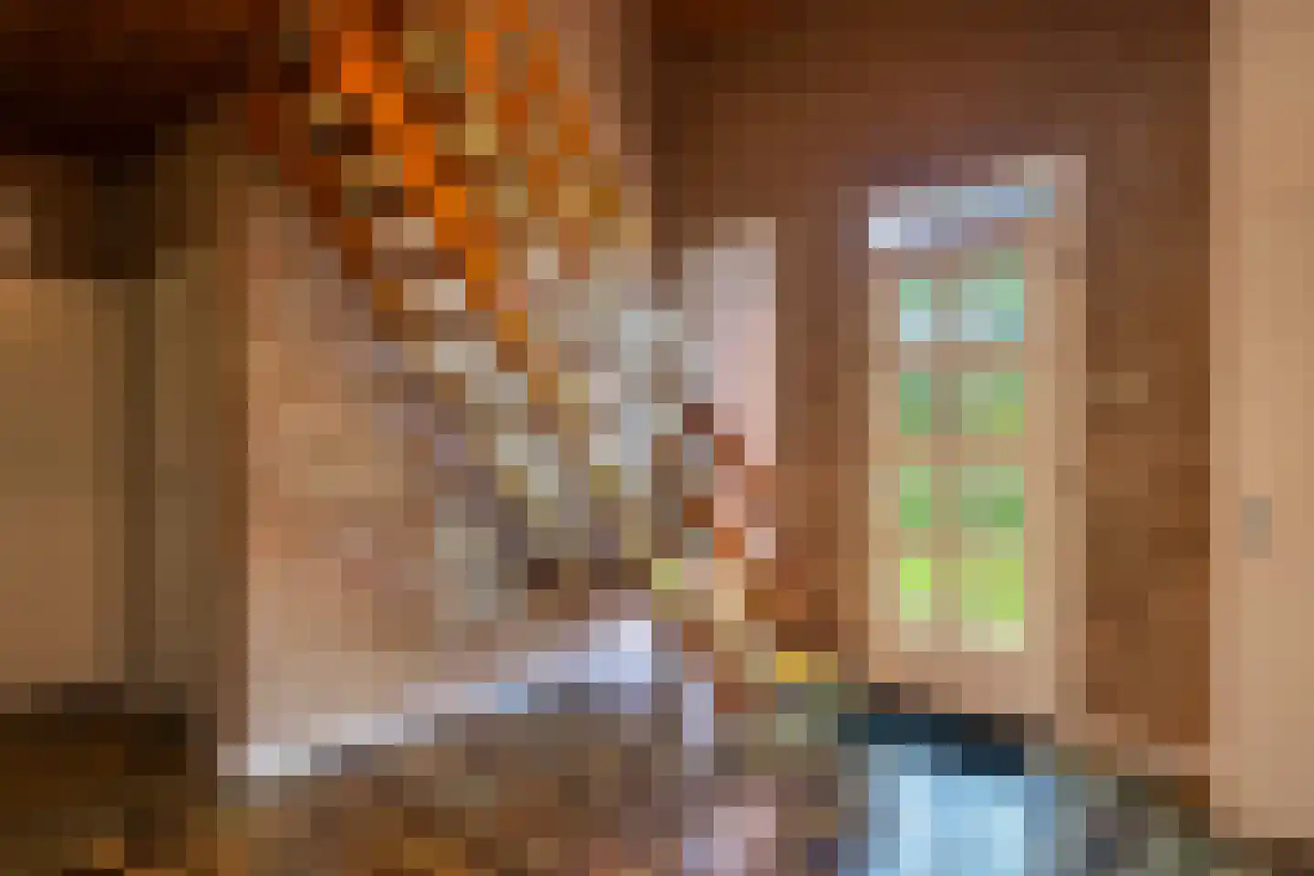 Maaseikerweg 202 Weert thumbnail 14