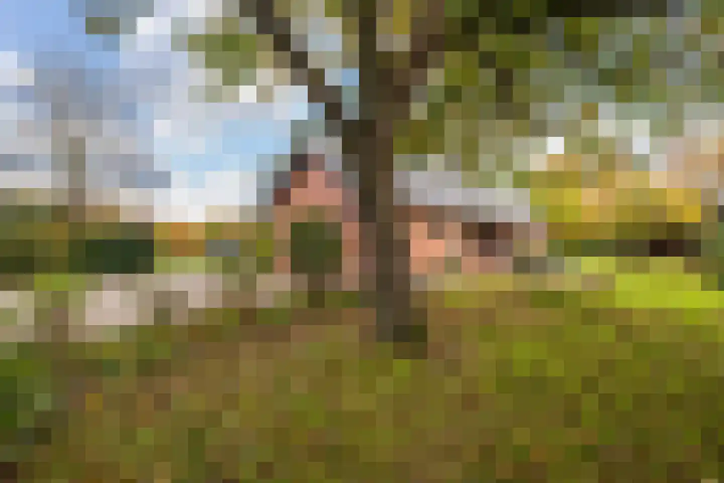 Maaseikerweg 202 Weert thumbnail 43