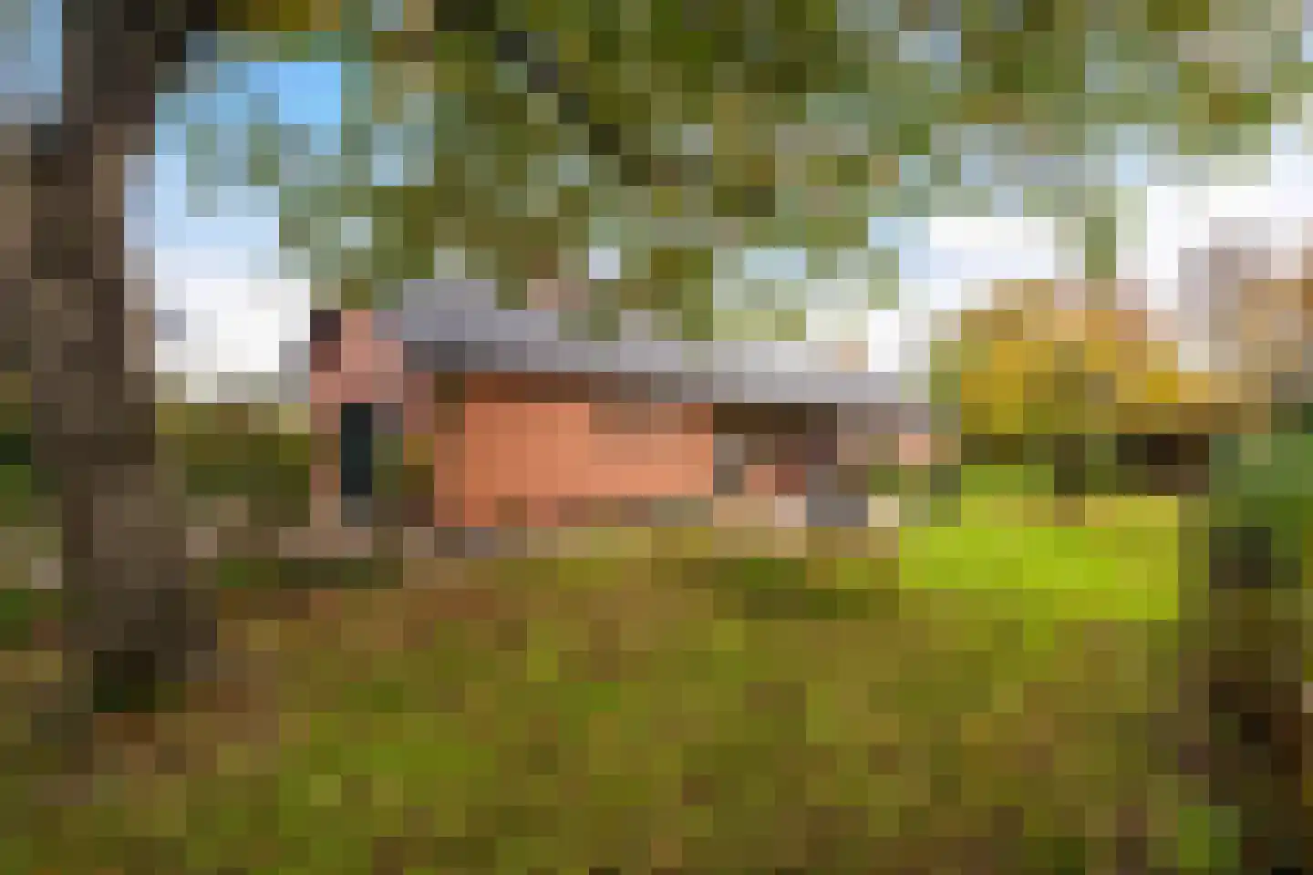 Maaseikerweg 202 Weert thumbnail 46
