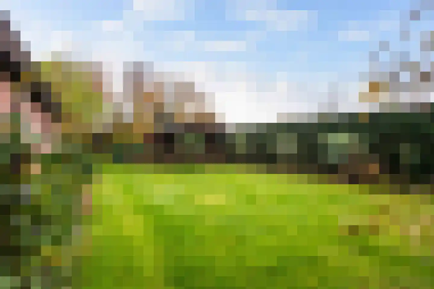 Maaseikerweg 202 Weert thumbnail 47