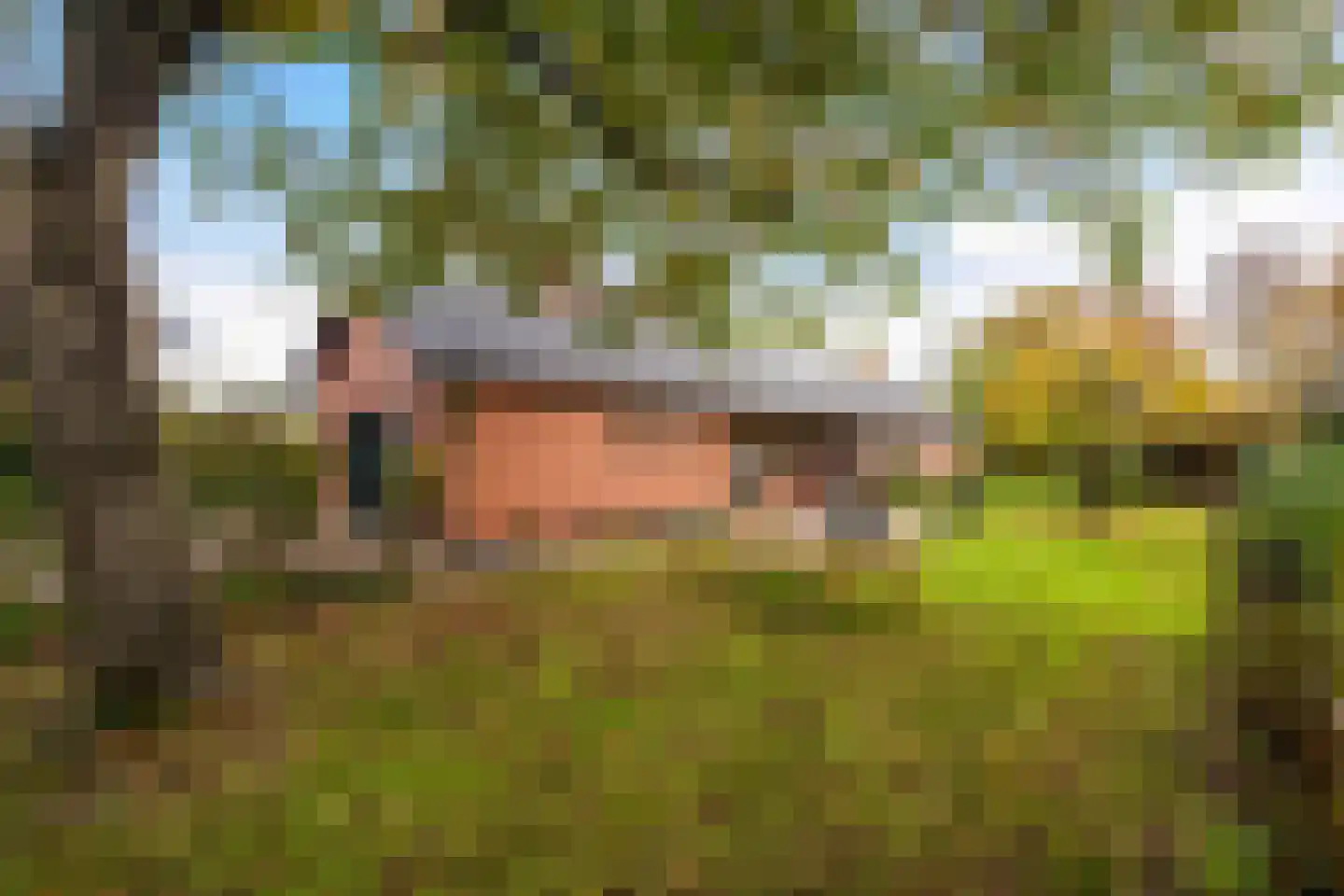 Maaseikerweg 202 Weert thumbnail 5