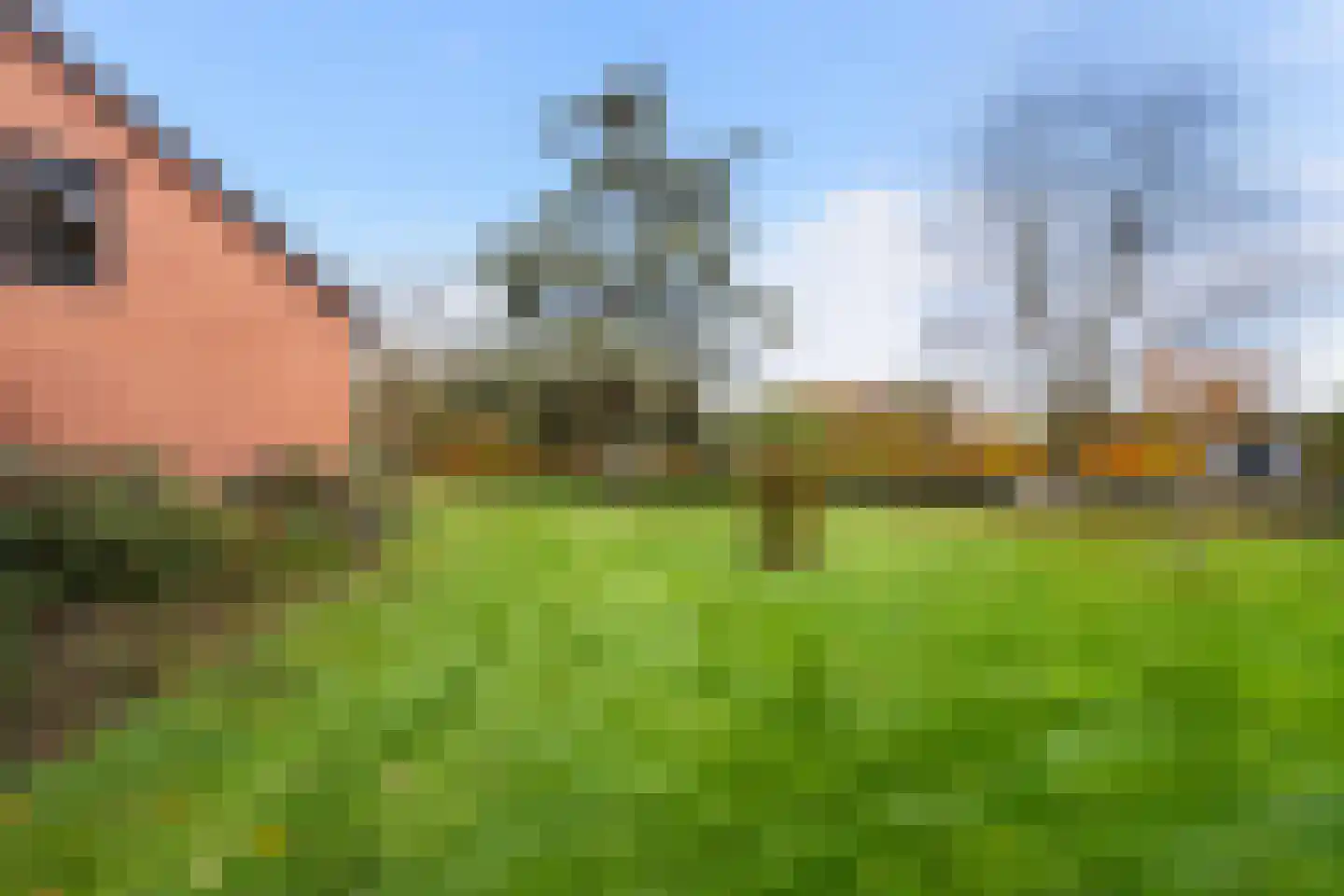 Maaseikerweg 202 Weert thumbnail 52