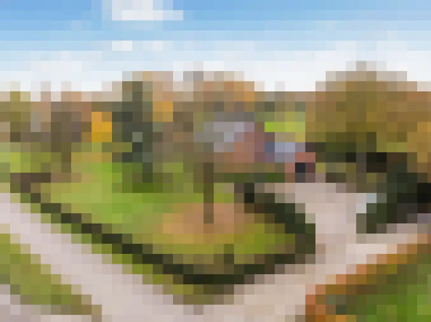 Maaseikerweg 202 Weert thumbnail 6