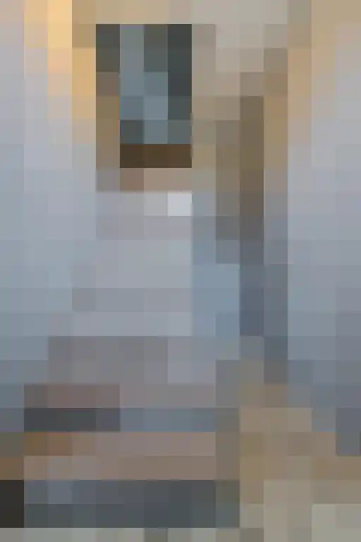 Maaseikerweg 222 Weert thumbnail 7