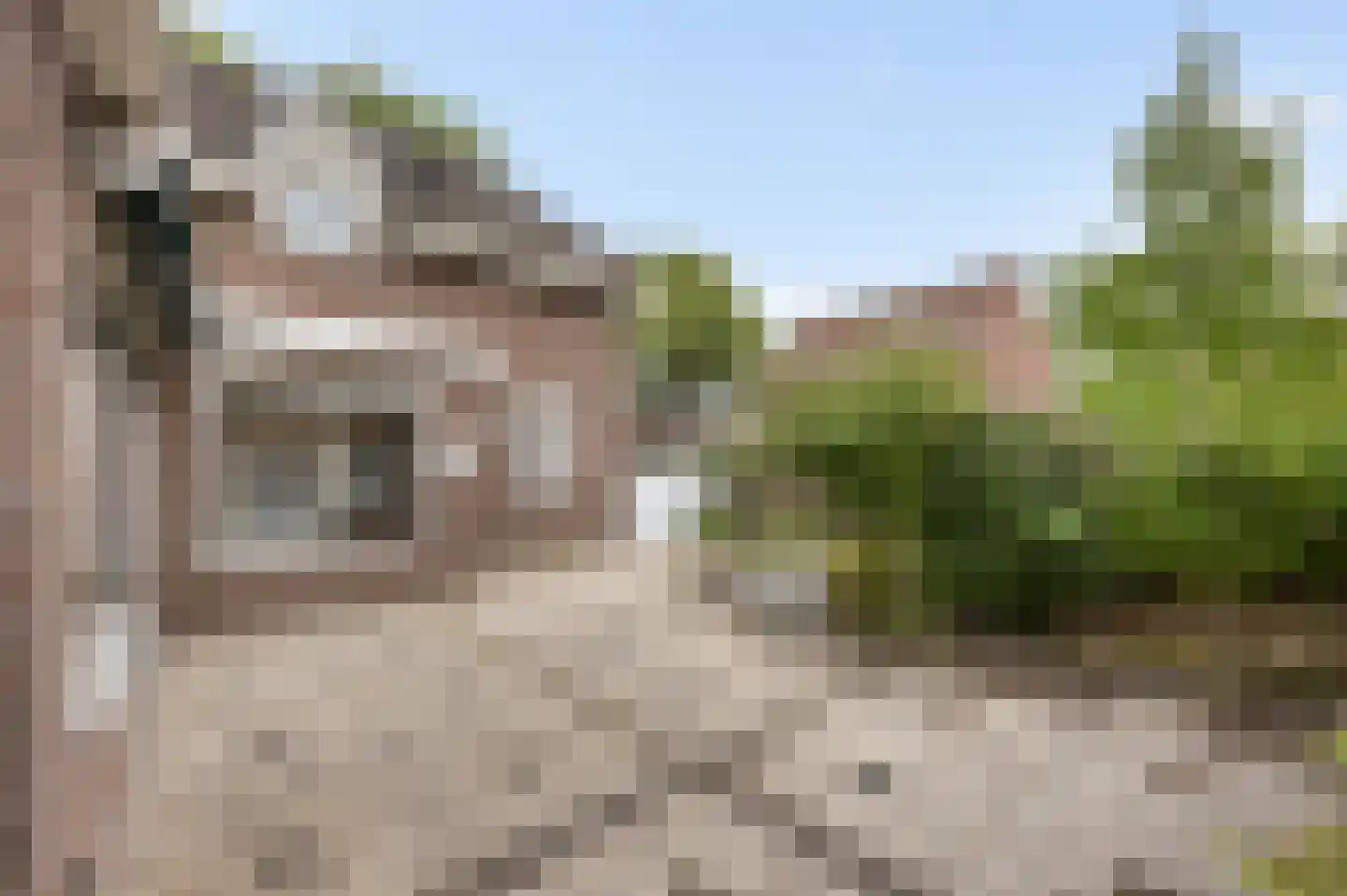 Maaseikerweg 52 Holtum thumbnail 41