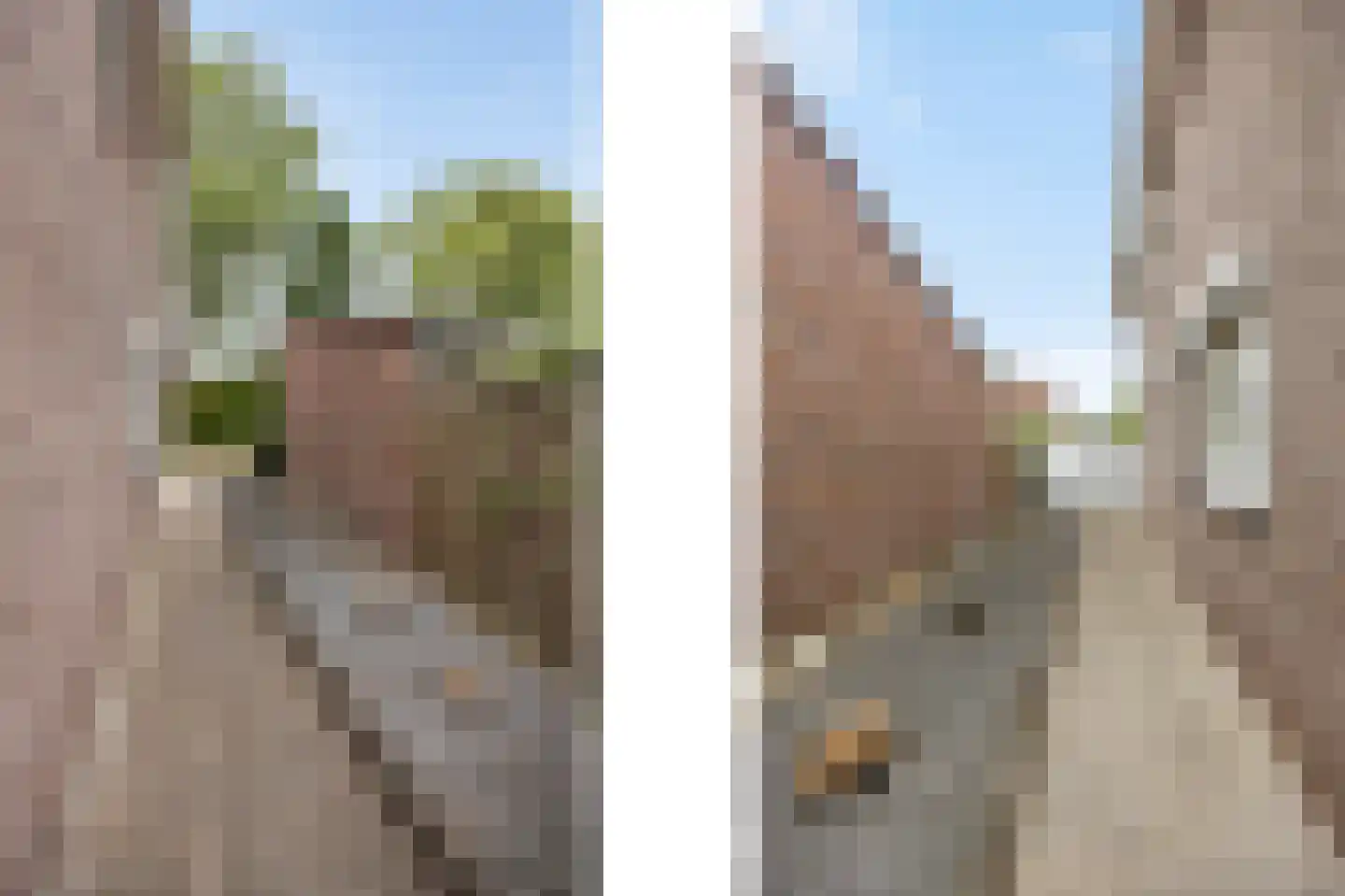 Maaseikerweg 52 Holtum thumbnail 43
