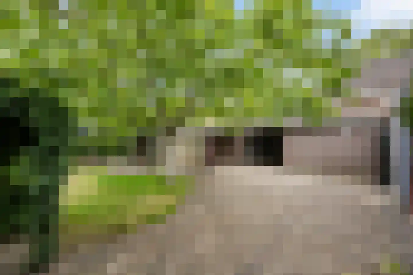 Maaseikerweg 52 Holtum thumbnail 47