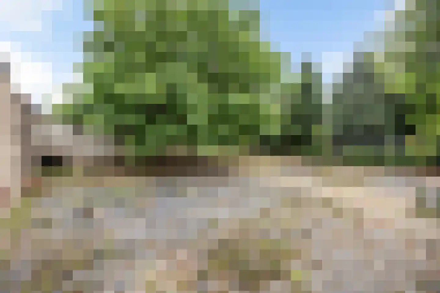 Maaseikerweg 52 Holtum thumbnail 54
