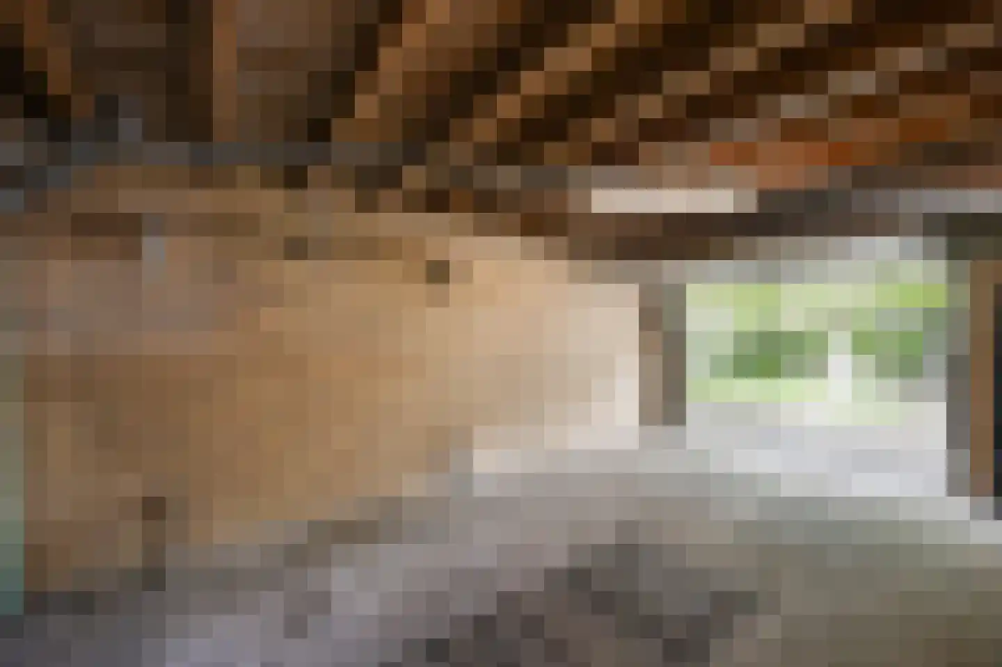Maaseikerweg 52 Holtum thumbnail 56
