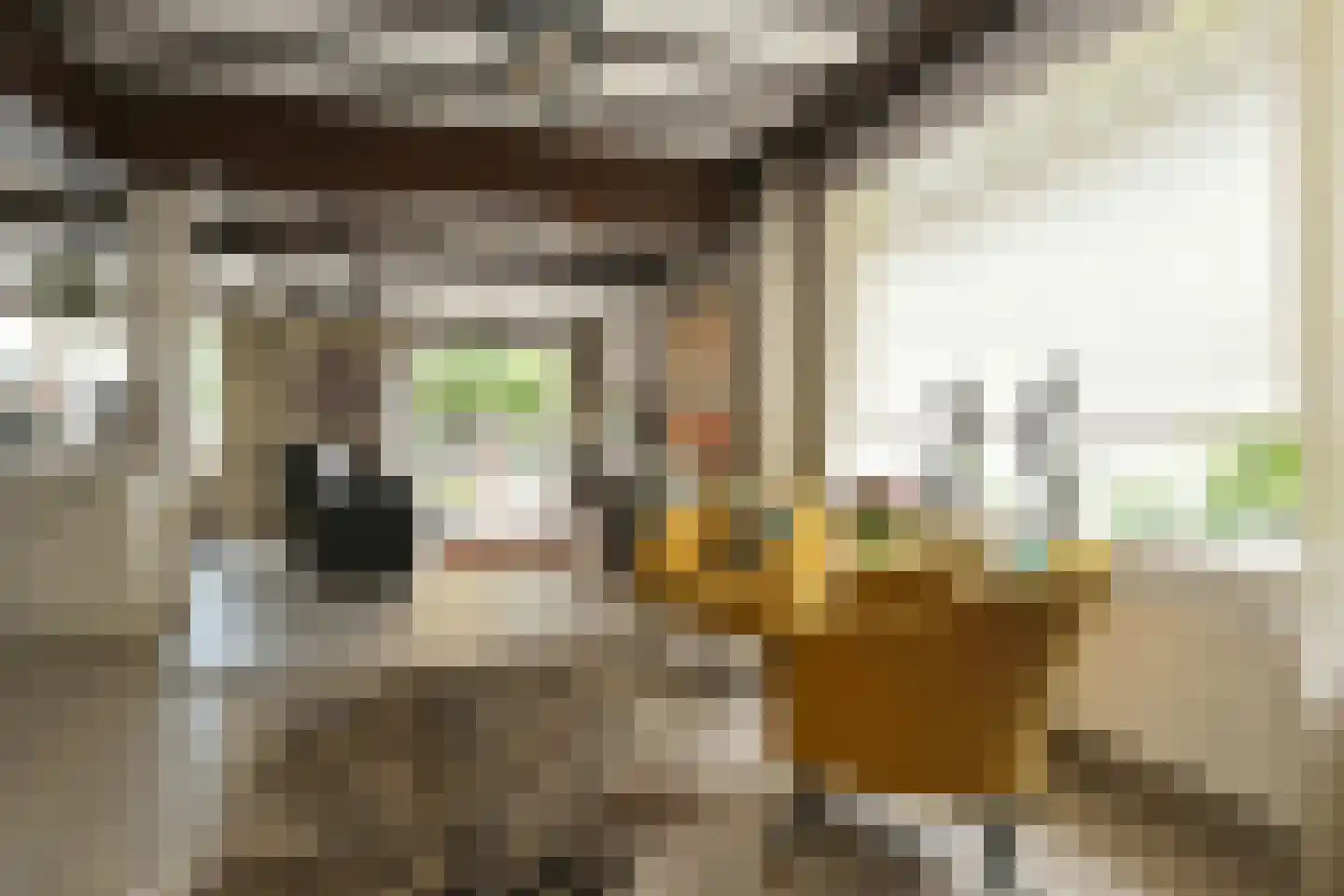 Maaseikerweg 63 Weert thumbnail 13