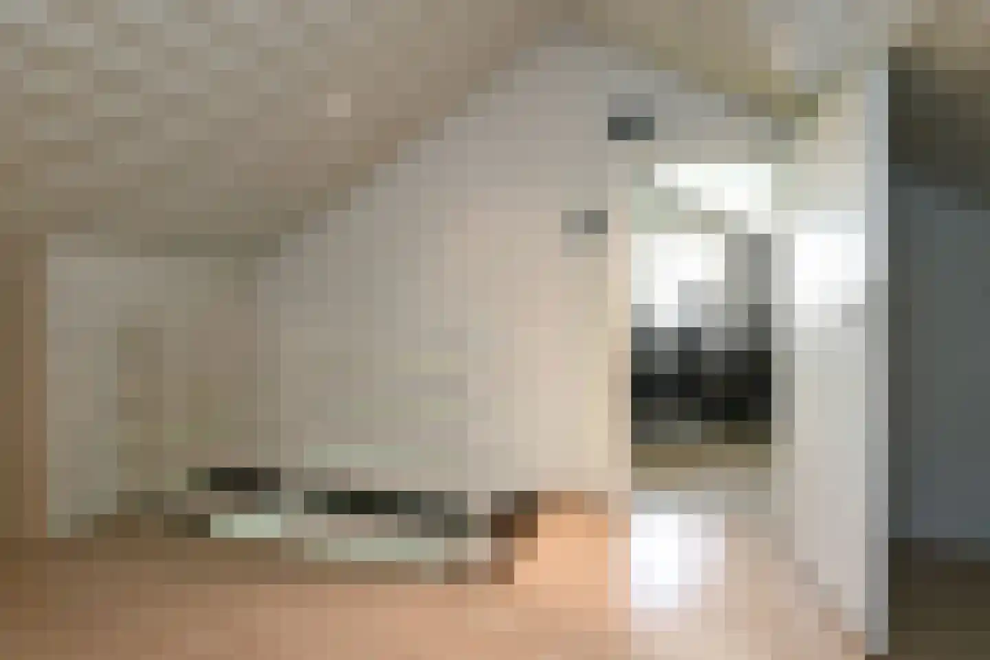 Maaseikerweg 63 Weert thumbnail 33