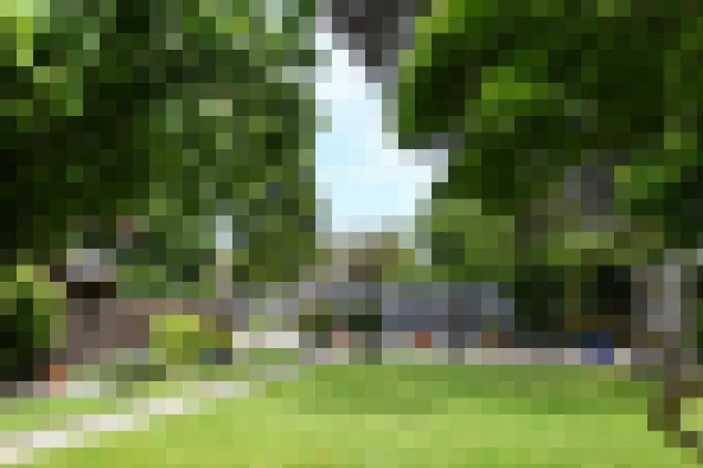 Maaseikerweg 63 Weert thumbnail 45