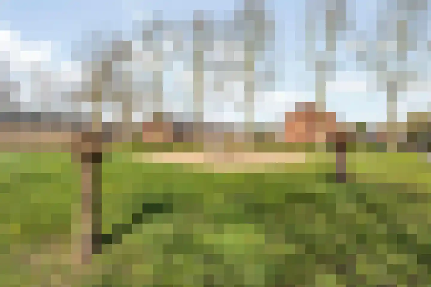Maaseikstraat 10 A Breda thumbnail 38