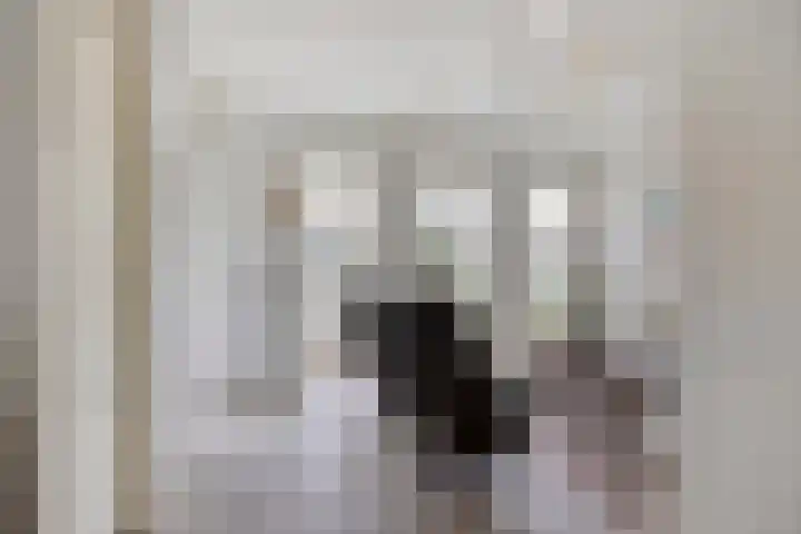 Maaseikstraat 3 Eindhoven thumbnail 11