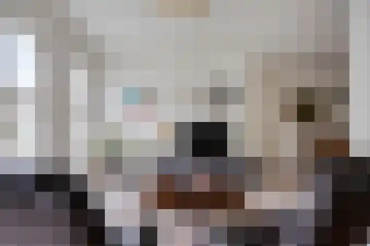Maaseikstraat 3 Eindhoven thumbnail 12