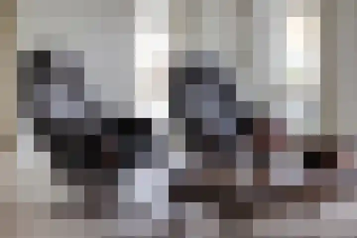 Maaseikstraat 3 Eindhoven thumbnail 14