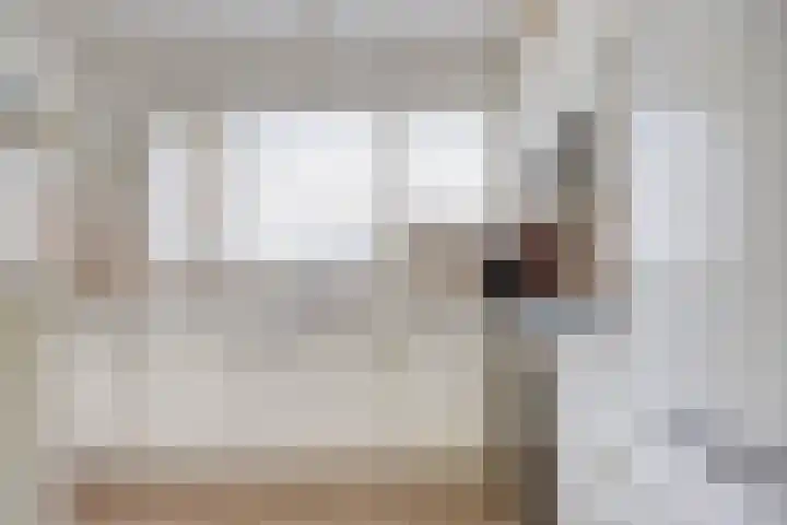 Maaseikstraat 3 Eindhoven thumbnail 29