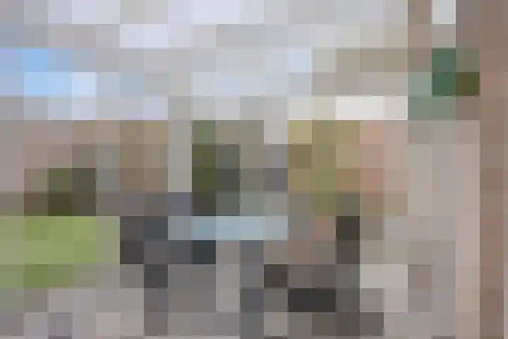 Maaseikstraat 3 Eindhoven thumbnail 42