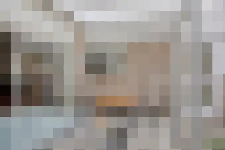 Maaseikstraat 3 Eindhoven thumbnail 43