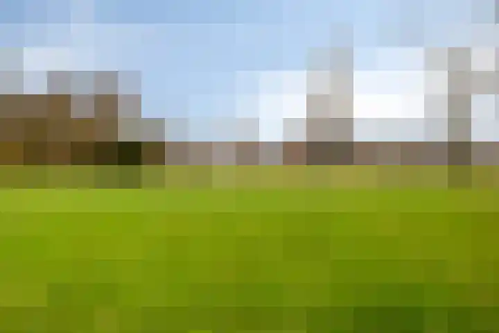 Maaseikstraat 3 Eindhoven thumbnail 50