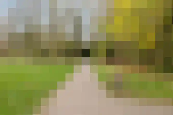 Maaseikstraat 3 Eindhoven thumbnail 52
