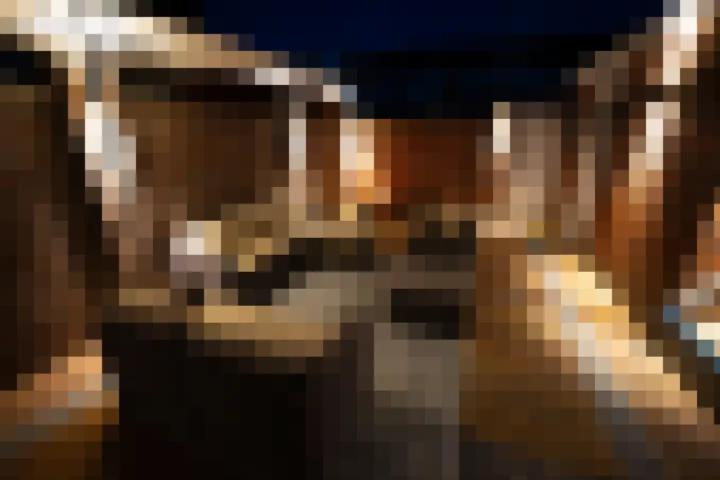 Maaseikstraat 55 Breda thumbnail 32