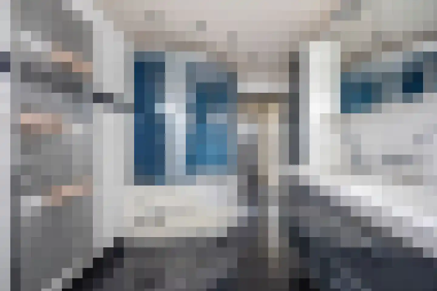 Maaseikstraat 55 Breda thumbnail 46